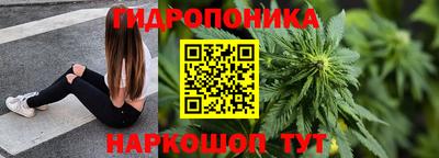 амф Славгород