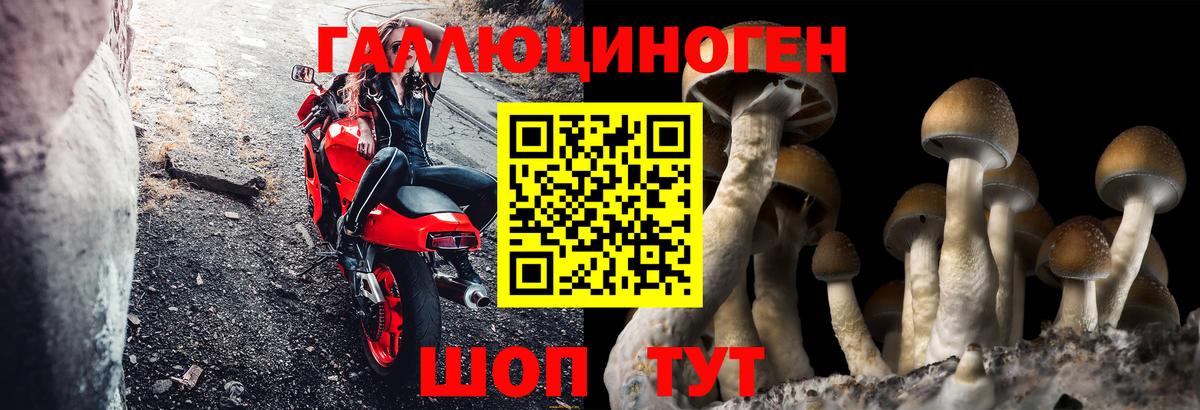 Саратов  Галлюциногенные грибы прущие грибы  сколько стоит  Вход с VPN 